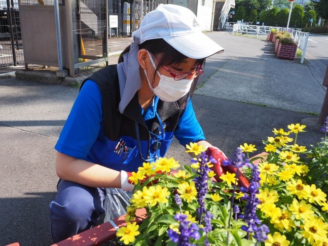 植え替え作業の様子1